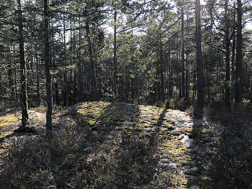 Kølåsen sørøst som er avmerket på kartet med 143 moh