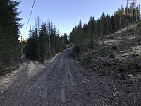 ØyvindBergkvam_20200416_5e986735935ce.jpg