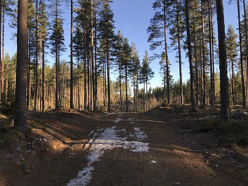 Fin vei innover mot toppen