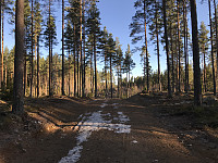 ØyvindBergkvam_20200416_5e98673770936.jpg