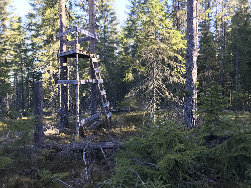 Jakttårn på toppen, ellers ikke så mye å skrive hjem om