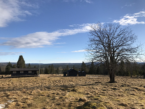 Svenkerudkollen er et fint turmål like i nærheten av Bjørnåsen