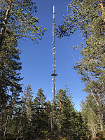 ØyvindBergkvam_20200416_5e98692054494.jpg