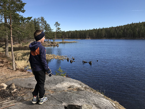 Ved Abbortjern
