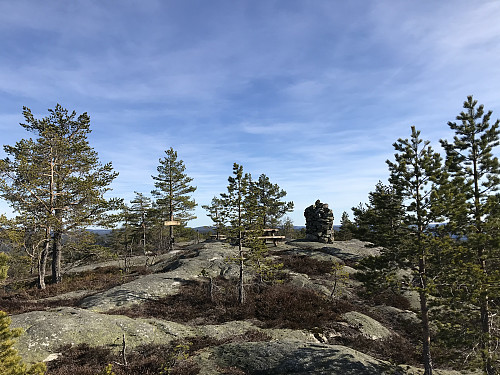 Toppvarden på Nesfjell