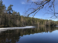 ØyvindBergkvam_20200427_5ea6b56f5c074.jpg