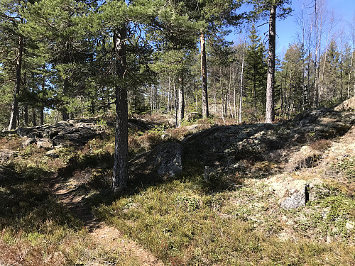 Fin sti oppover mot toppen
