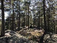 ØyvindBergkvam_20200427_5ea6b5737c875.jpg
