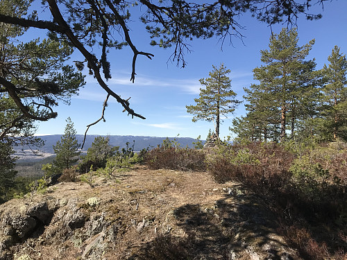 Røysåsen 441 moh