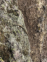 ØyvindBergkvam_20200427_5ea6b5793d150.jpg