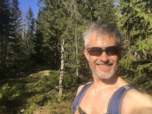 Toppunktet ligger inne i skogen og er ikke markert på noe måte.