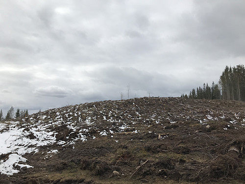 Toppen på Agåsen er høyeste punkt på denne kulen