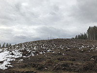 ØyvindBergkvam_20200430_5eaaa1f783b85.jpg