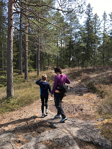 Snart fremme på Elgheia