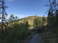 ØyvindBergkvam_20200509_5eb6573c08fe5.jpg