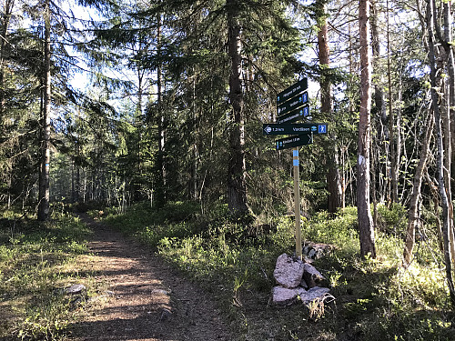 Skiltet og merket sti til toppen av Vardåsen