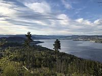 ØyvindBergkvam_20200509_5eb6573fd1368.jpg