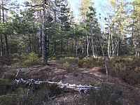 ØyvindBergkvam_20200509_5eb657413f5d9.jpg