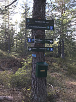 ØyvindBergkvam_20200509_5eb65743141a1.jpg