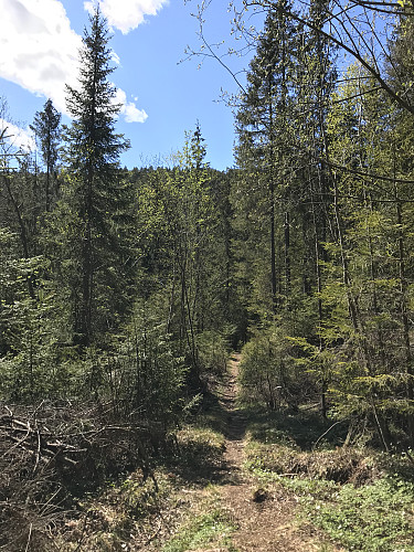 På vei rundt åsen øst for Høgåsen