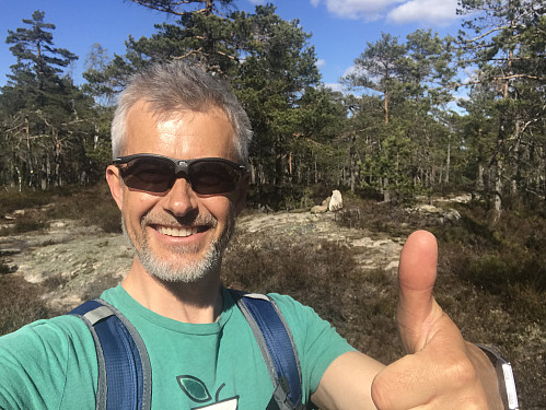 Toppunktet på Høgåsen