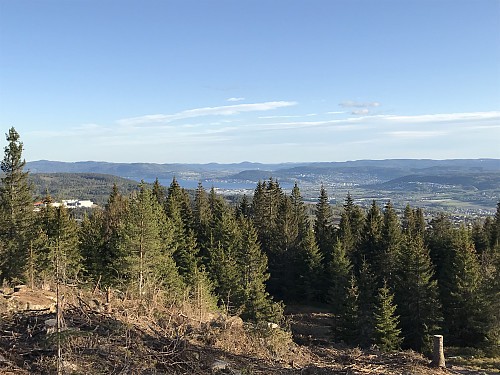 Utsikt mot Drammensfjorden fra et hogstfelt like nedenfor toppen