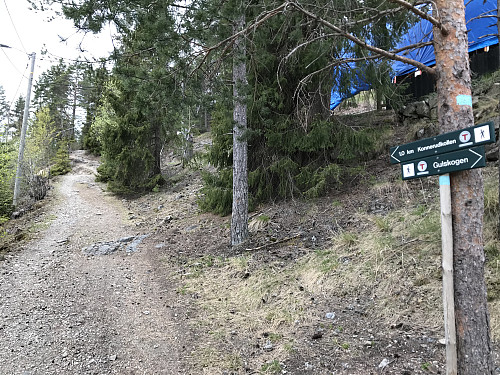 Godt skiltet hele veien opp mot toppen av Gruvåsen (Konnerudkollen)