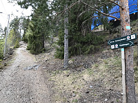 ØyvindBergkvam_20200509_5eb6757348a6c.jpg