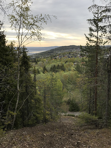 Restene etter hoppbakken som må ha vært en av storbakkene i distriktet i begynnelsen av 1900-tallet