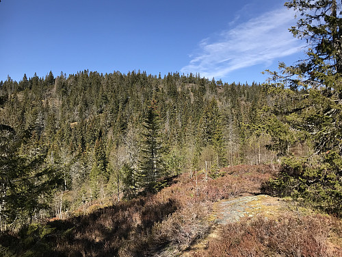 Skibergfjellet sett fra stien øst for toppen