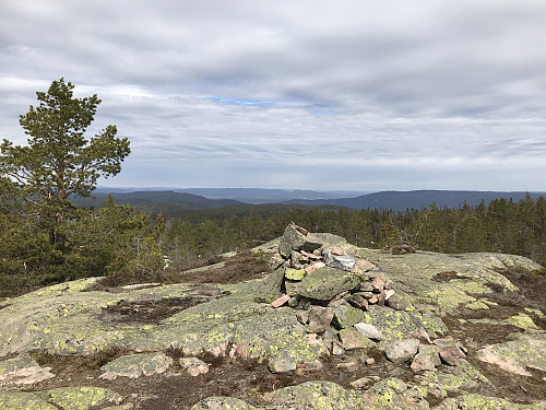 Vestfjellet 634 moh 