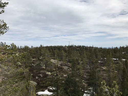 Skibergfjellet sett fra Vestfjellet
