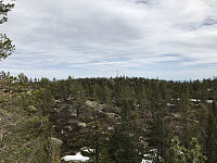 ØyvindBergkvam_20200509_5eb67ce150909.jpg
