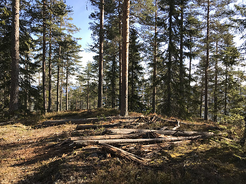 Det nedraste trigpunkttårnet på nordtoppen