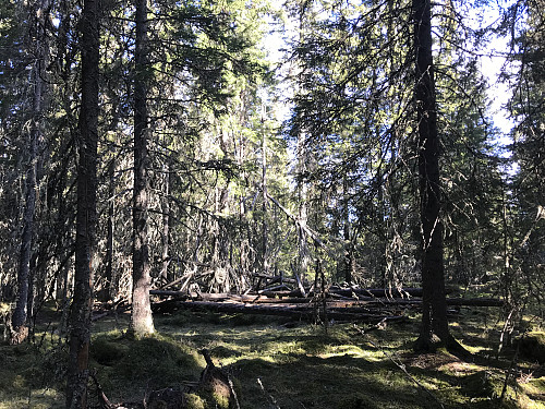 Kun rester etter nedfalt trigpunkttårn på toppen av Borgåsen