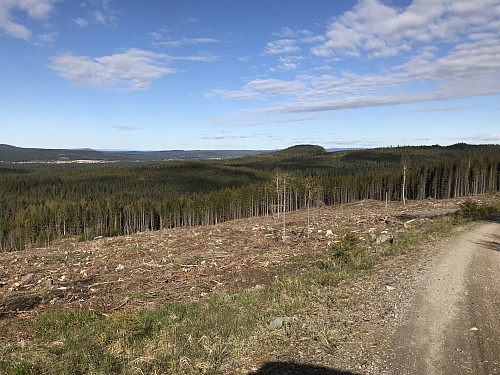 Utsikt fra veien ned igjen fra setergrenda på Borgåsen