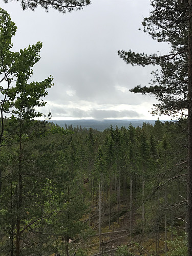 Noe utsikt mellom trærne retning østover fra toppen