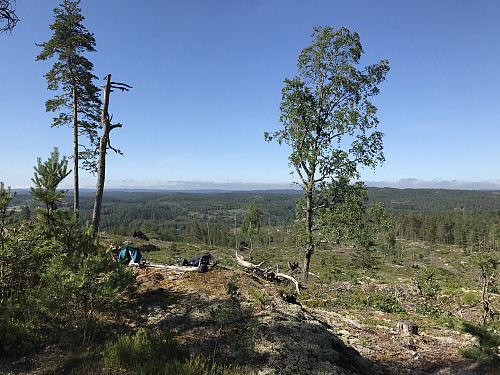 Fin utsikt vestover fra Svinåsen