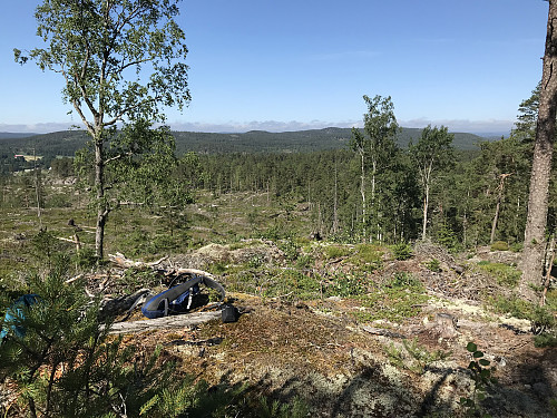 Fin utsikt vestover fra Svinåsen. Oppskot ses litt til høyre for midten av bildet