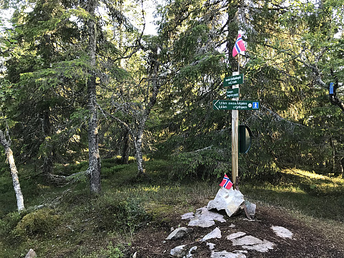 Søndre Fjellsjøhøgda 642,3 moh
