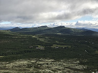ØyvindBergkvam_20200721_5f16b57b25037.jpg