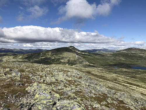 Utsikt mot ruta videre til Midtre og Nørdre Bølhøgda
