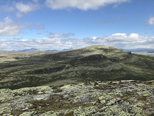 Utsikt mot Ramshøgdene fra Nørdre Bølhøgda
