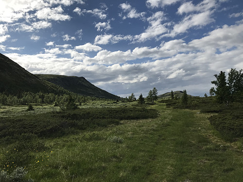 På sti mellom Holtesetra og Dynjefjellet. Sistnevnte ses bak til venstre i bildet