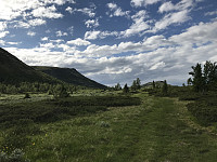 ØyvindBergkvam_20200721_5f16cb9bbc536.jpg