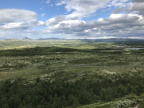 Utsikt østover fra stigningen opp mot Dynjefjellet. Spitsbergseter ses så vidt til høyre i bildet