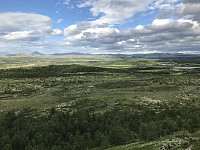 ØyvindBergkvam_20200721_5f16cb9dc4643.jpg