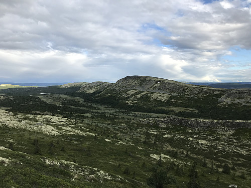 Dynjefjellet sett fra oppstigningen til Svartfjellet