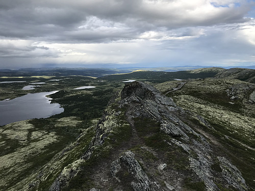 Svartfjellet i Ringebu