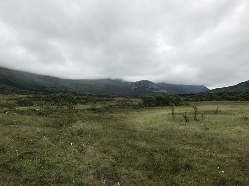 Myrete og tungt terreng å gå i frem til foten av fjellet